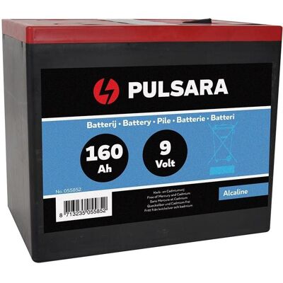 Pulsara Alkaline Batterij 9V/160Ah - (9V Block), Batteries + piles Pulsara Alkaline Batterij 9V/160Ah - (9V Block), Batteries + piles