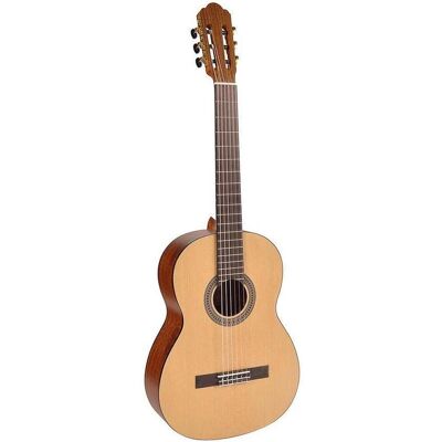 Salvador Dalí gitaar 4//4 Salvador CS-244 (Guitare classique, Épicéa, Nickel, Sapele), Guitare, Marron Salvador Dalí gitaar 4//4 Salvador CS-244 (Guitare classique, Épicéa, Nickel, Sapele), Guitare, Marron