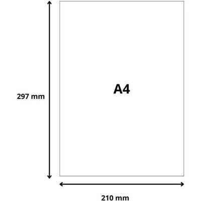 Exacompta, Fiche, Fiches A4 (210 x 297 mm, 205 g/m²) Exacompta, Fiche, Fiches A4 (210 x 297 mm, 205 g/m²)