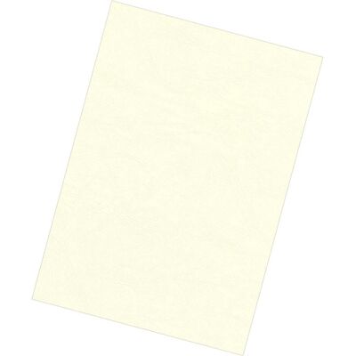 Fellowes Couverture Delta avec structure en cuir, ivoire, Relieuse : accessoires, Beige Fellowes Couverture Delta avec structure en cuir, ivoire, Relieuse : accessoires, Beige