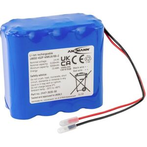 Ansmann Modèle 2447-3035-50 Pack de Batteries Li-ion - 14,4V 5100mAh Ansmann Modèle 2447-3035-50 Pack de Batteries Li-ion - 14,4V 5100mAh