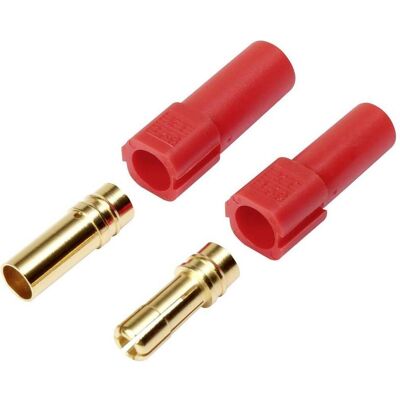 Reely 1373206 - Connecteur mâle pour batterie - XT150 doré - 1 pc Reely 1373206 - Connecteur mâle pour batterie - XT150 doré - 1 pc