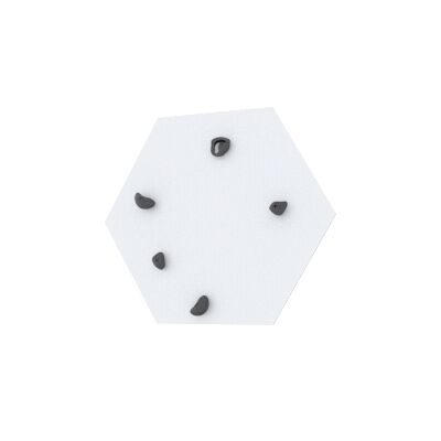 Monkey-Gym Module hexagonal pour mur d’escalade Monkey-Gym Module hexagonal pour mur d’escalade