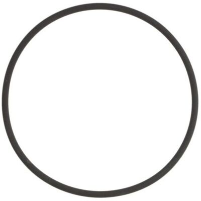 ELRING 339.530 Joint d'étanchéité, filtre à carburant - Filtre à carburant ELRING 339.530 Joint d'étanchéité, filtre à carburant - Filtre à carburant