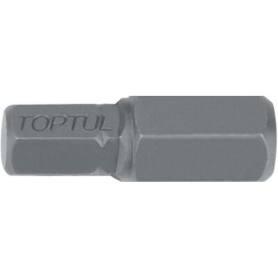 TOPTUL - FSDA1006 - 5/16 in - 6 mm - aimant hexagonal TOPTUL - FSDA1006 - 5/16 in - 6 mm - aimant hexagonal