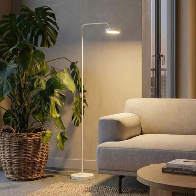 Lampe sur pied LED Nivo, blanc, hauteur 120 cm, variateur d'intensité 50° - Sigor - Salon / séjour - Moderne - Aluminium - À ampoule unique Lampe sur pied LED Nivo, blanc, hauteur 120 cm, variateur d'intensité 50° - Sigor - Salon / séjour - Moderne - Aluminium - À ampoule unique