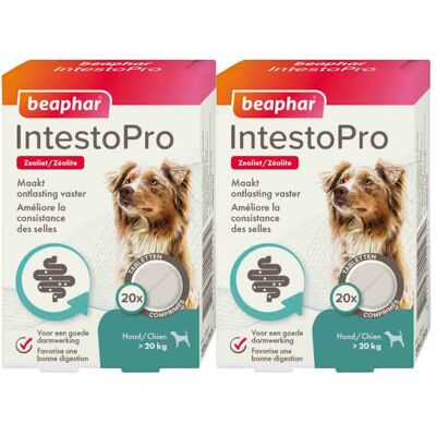 2x Beaphar IntestoPro Hond vanaf 20 kg 20 tabletten 2x Beaphar IntestoPro Hond vanaf 20 kg 20 tabletten