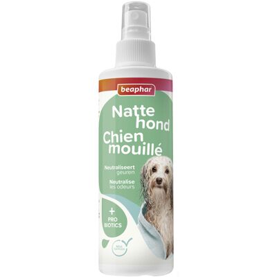 Beaphar Natte Hond Spray 250 ml Beaphar Natte Hond Spray 250 ml