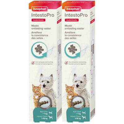 2x Beaphar IntestoPro Pasta Kat - Hond tot 15 kg 20 ml 2x Beaphar IntestoPro Pasta Kat - Hond tot 15 kg 20 ml