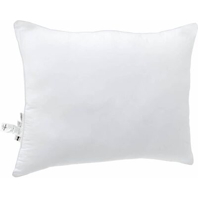 vidaXL Oreiller 2 pcs Blanc 62 x 31 x 0 cm Coton et polyester vidaXL Oreiller 2 pcs Blanc 62 x 31 x 0 cm Coton et polyester