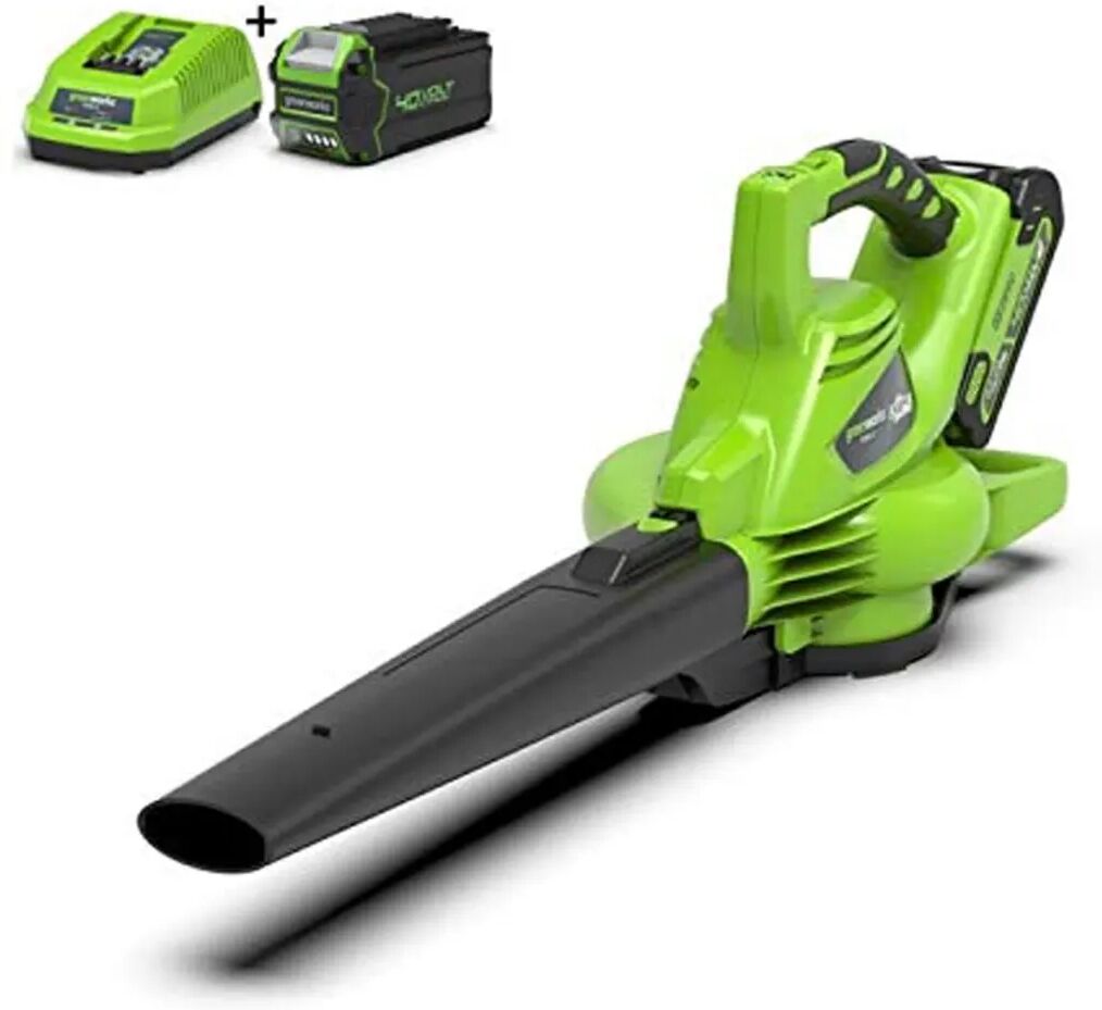 Greenworks Aspirateur de pelouse à main 40 V Vert