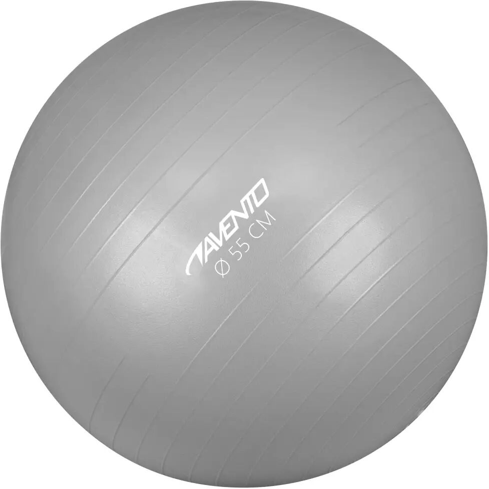 Avento Ballon de fitness/d'exercice Diamètre 55 cm Argenté