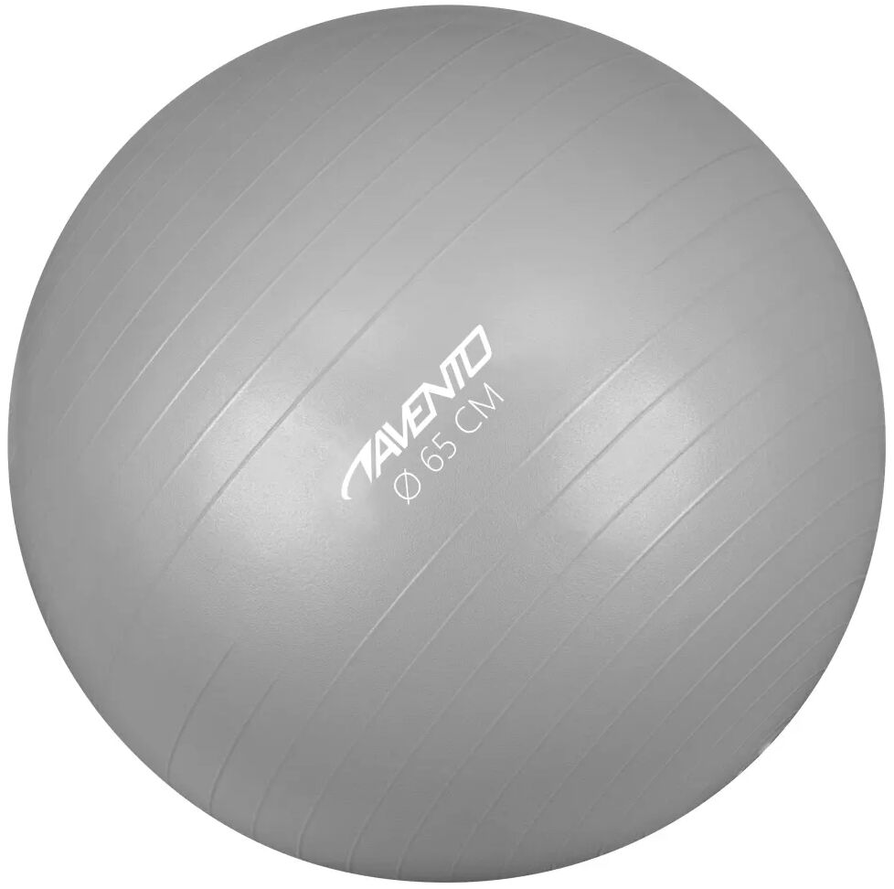 Avento Ballon de fitness/d'exercice Diamètre 65 cm Argenté