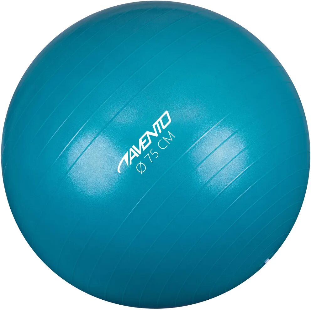 Avento Ballon de fitness/d'exercice Diamètre 75 cm Bleu