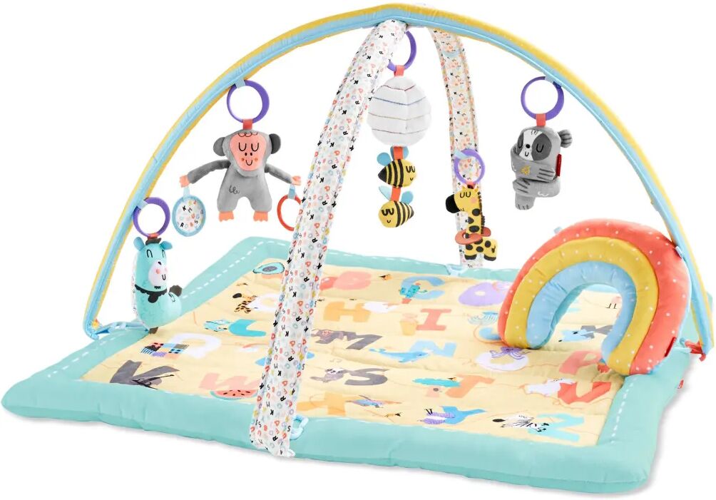 Skip Hop Portique d'activité bébé ABC & Me Multicolore