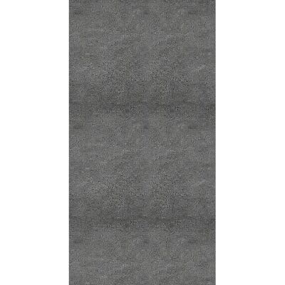 Vente-unique Feuille de pierre - Effet béton - Pack de 5,76 m² - Lot de 8 pièces - L60 x H120 cm - gris - SAMOVA Vente-unique Feuille de pierre - Effet béton - Pack de 5,76 m² - Lot de 8 pièces - L60 x H120 cm - gris - SAMOVA