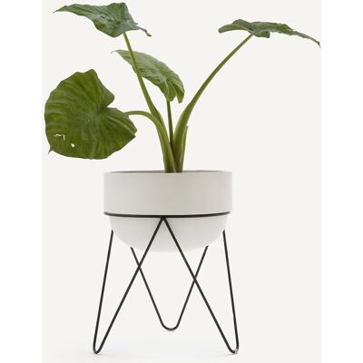 Am.pm Modèle A54 cm - Support de plante pour intérieur Am.pm Modèle A54 cm - Support de plante pour intérieur