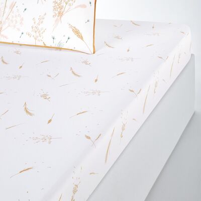 LA REDOUTE INTERIEURS Drap-housse en coton - Motif herbes - Toutes tailles LA REDOUTE INTERIEURS Drap-housse en coton - Motif herbes - Toutes tailles