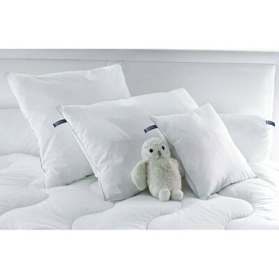 La Redoute Intérieurs Oreiller Blanc Hypoallergénique - Oreiller La Redoute Intérieurs Oreiller Blanc Hypoallergénique - Oreiller