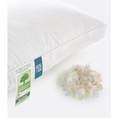 LA REDOUTE INTERIEURS Oreiller 3 chambres moelleux 90% duvet LA REDOUTE INTERIEURS Oreiller 3 chambres moelleux 90% duvet
