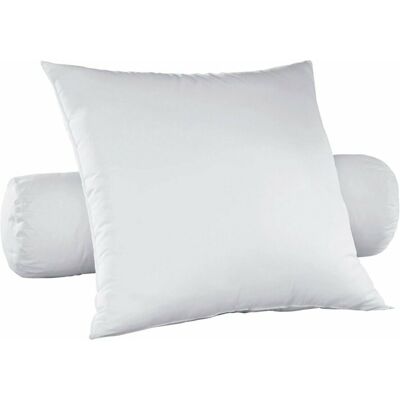 LA REDOUTE INTERIEURS Oreiller ferme anti-acariens 100% plumettes LA REDOUTE INTERIEURS Oreiller ferme anti-acariens 100% plumettes
