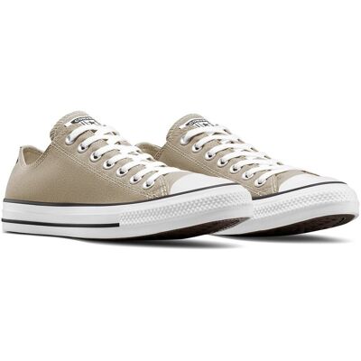 CONVERSE Baskets All Star Ox Seasonal Color CONVERSE Baskets All Star Ox Seasonal Color