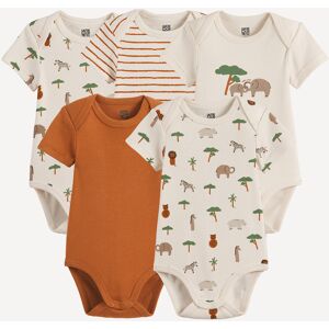 LA REDOUTE COLLECTIONS Lot de 5 bodies, manches courtes, thème savane LA REDOUTE COLLECTIONS Lot de 5 bodies, manches courtes, thème savane