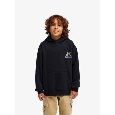 QUIKSILVER Sweat à capuche, en molleton, imprimé dos QUIKSILVER Sweat à capuche, en molleton, imprimé dos