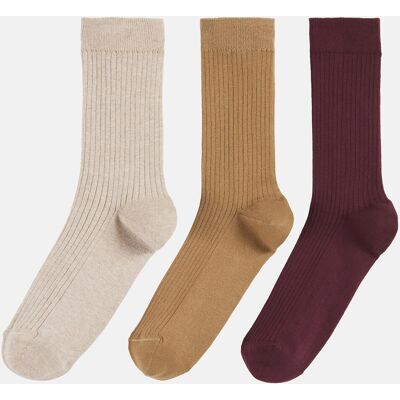 LA REDOUTE COLLECTIONS Lot de 3 paires de chaussettes côtelées LA REDOUTE COLLECTIONS Lot de 3 paires de chaussettes côtelées 