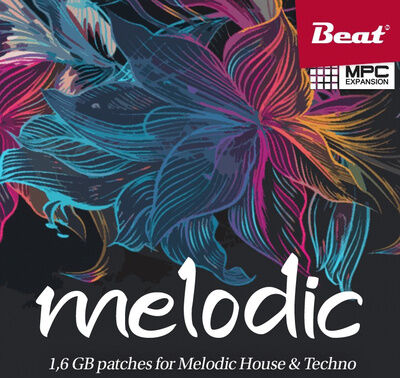 Beat Magazin Melodic