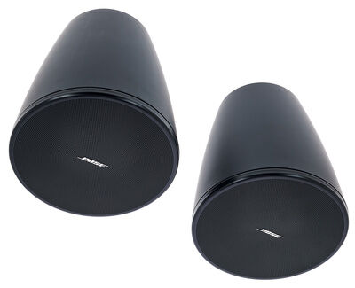 Bose DesignMax DM5P black Black