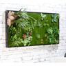 Carlo Milano Vertikaler Wandgarten Klaus mit Deko-Pflanzen, 50x100 cm