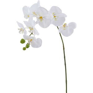 Edg Orchidee weiss H: 93 cm  Weiss