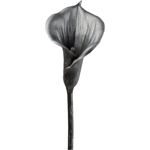 Gasper Calla schwarz H: 68 cm