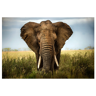 image LAND Grosser Elefant