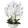 Gasper Orchidee Weiss im Keramiktopf H: 66 cm