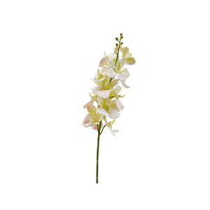 Edg Orchidee creme H: 67 cm