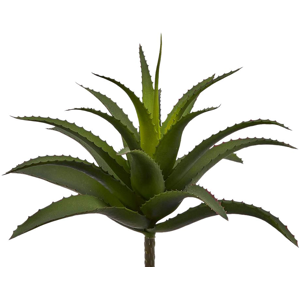 Edg Agave dunkelgrün H: 25 cm