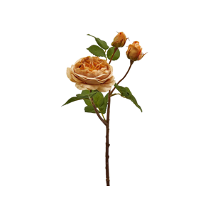 Edg Rose ocker H: 48 cm