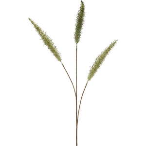 Edg Pennisetum grün H: 92 cm