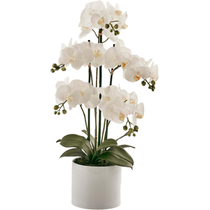 Edg Orchidee im weissen Topf H: 65 cm