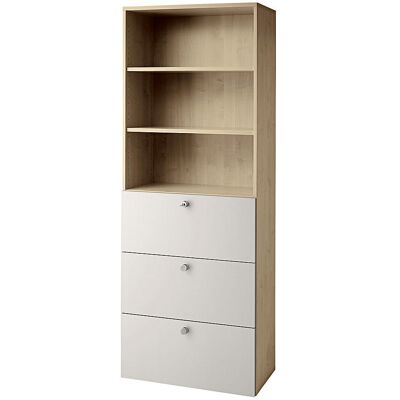 Kombi-Schrank, 2 Fachböden, 3 Hängeregistraturschübe, Nussbaum-Dekor / alusilber eurokraft pro Kombi-Schrank, 2 Fachböden, 3 Hängeregistraturschübe, Nussbaum-Dekor / alusilber eurokraft pro