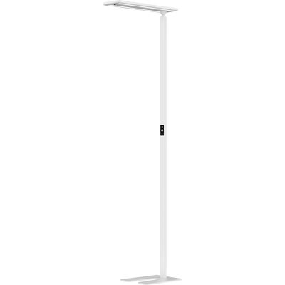 LED-Stehleuchte Larimar, Touch-Sensor, Höhe 1997 mm, weiß Hansa LED-Stehleuchte Larimar, Touch-Sensor, Höhe 1997 mm, weiß Hansa