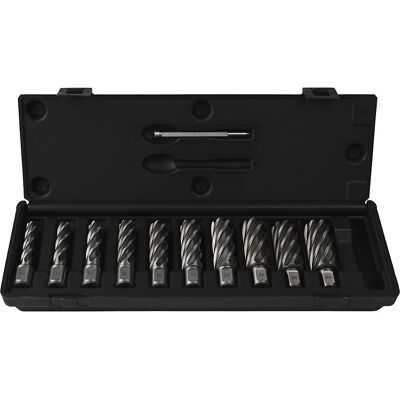 WELDON Kernbohrer-Set HSS-G, aus Schnellarbeitsstahl, 11 Teile, 55 mm Projahn WELDON Kernbohrer-Set HSS-G, aus Schnellarbeitsstahl, 11 Teile, 55 mm Projahn