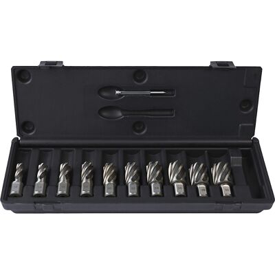 WELDON Kernbohrer-Set HSS-G, aus Schnellarbeitsstahl, 11 Teile, 30 mm Projahn WELDON Kernbohrer-Set HSS-G, aus Schnellarbeitsstahl, 11 Teile, 30 mm Projahn