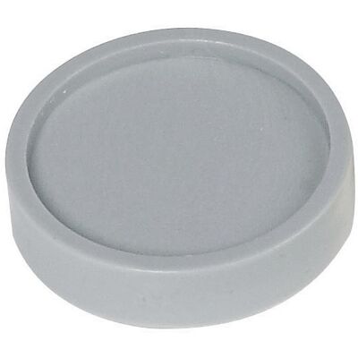 Rund-Magnete, Ø 30 mm, VE 100 Stk, grau MAUL Rund-Magnete, Ø 30 mm, VE 100 Stk, grau MAUL