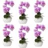 kaiserkraft Phalaenopsis, real touch, Höhe 330 mm, VE 6 Stk, Keramiktopf, orchidee