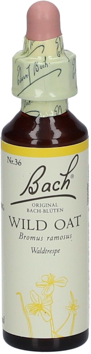 Bach®-Blüte Wild OAT (Waldtrespe)