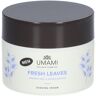 YVB Umami Men Fresh leaves Rasiercreme Japanische Minze - Ingwer 250 ml