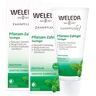 Weleda Pflanzen-Zahngel -  reinigt die Zähne gründlich und schonend für empfindliche Zähne und Zahnfleisch 150 ml